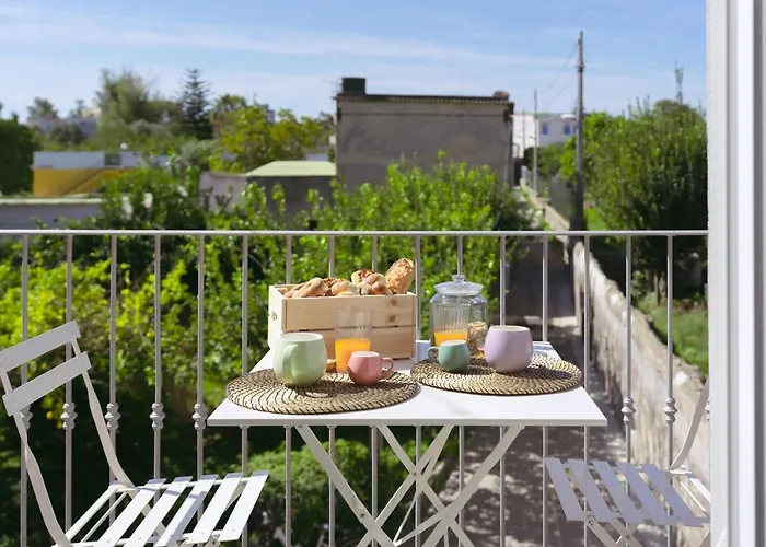 招待所 Sea 普罗奇达